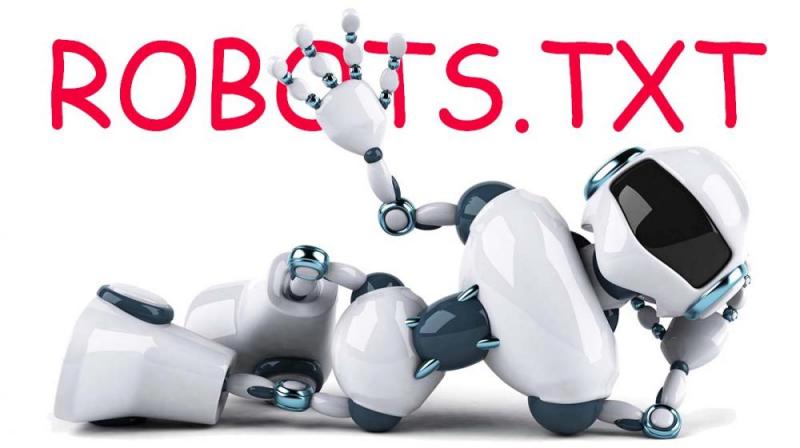 Что такое robots.txt и зачем он нужен в Томске